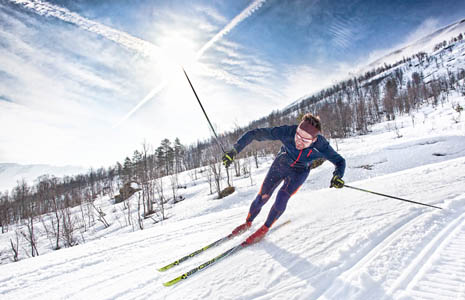自动攻击网站工具下载
