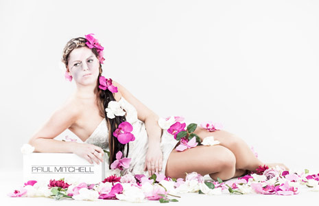 小黑ddos压力测试平台