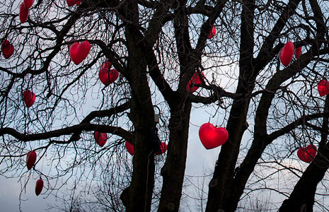 网页DDOS攻击平台